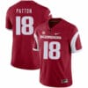 Arkansas Razorbacks #18 Jeremy Patton College Football Jersey Red