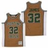 Lebron James 23 Fighting Irish High School Basketball Jersey