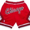 Men Chicago Bulls Shorts Red Shorts All Stitched