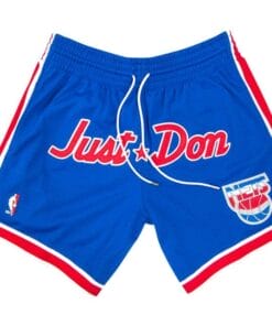 Men Nets Shorts Blue Shorts All Stitched
