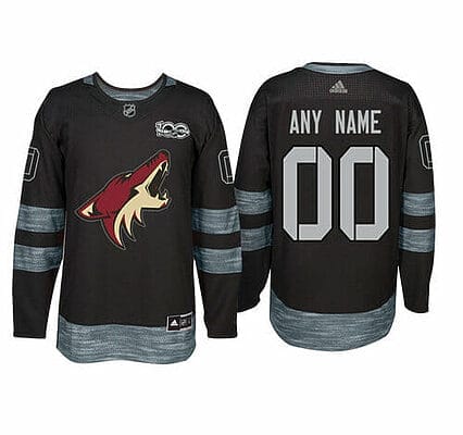 Custom Arizona Coyotes Jersey Name And Number 1917-2017 Black 100th Anniversary NHL