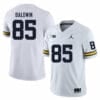 Michigan Wolverines Daylen Baldwin Jersey #85 College Football Game White