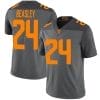 Tennessee Volunteers Aaron Beasley Jersey #24 College Football Gray