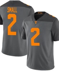 Tennessee Volunteers Jabari Small Jersey #2 College Football Gray