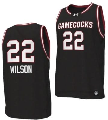 A'ja Wilson Jersey #22 South Carolina Gamecocks College Basketball 2023-24 Replica Black