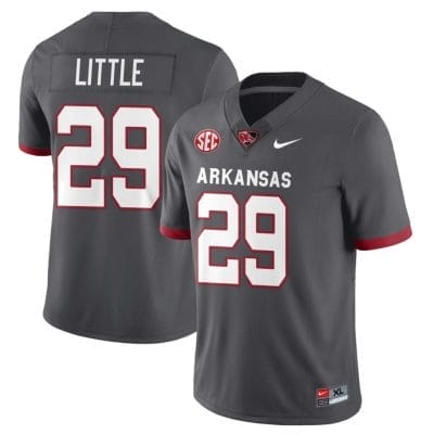Cam Little Jersey #29 Arkansas Razorback Football All Stitched Gray