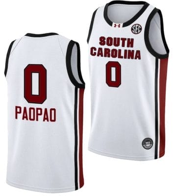 Te Hina Paopao Jersey #0 South Carolina Gamecocks College Basketball 2023-24 White 8 Te Hina Paopao Jersey #0 South Carolina Gamecocks College Basketball 2023-24 White