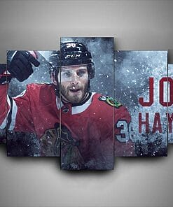 Chicago Blackhawks John Hayden – 5 Panel Canvas Prints Wall Art Home Decor Frame Set
