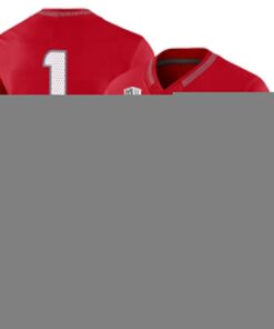 New Mexico Lobos 2025 Vapor Limited Jersey - All Stitched 30 1756195336164ddf71e3