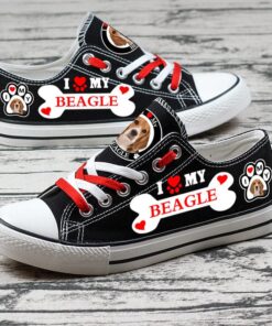 Beagle 3