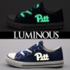 Pittsburgh Panthers 1