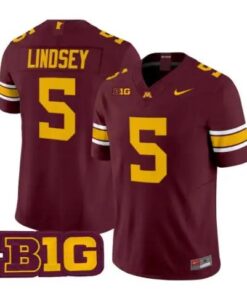 Drake Lindsey Jersey #5 Minnesota Golden Gophers 2026 Stitched by My Store NCAA Football Jerseys