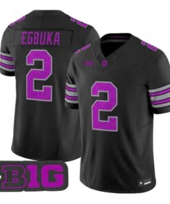Emeka Egbuka Jersey #2 Ohio State Buckeyes Glitter Vapor All Stitched by My Store NCAA Football Jerseys